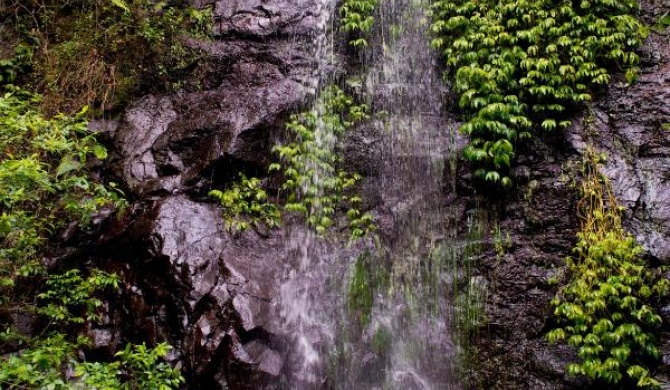 Nimbin waterfall retreat